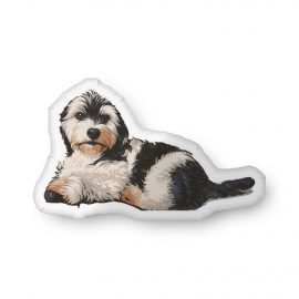 Rafael's Custom-shaped pillow