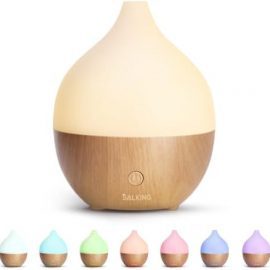 SALKING Essential Oil Diffuser, 100ml Small Aromatherapy Diffuser with Auto Shut-Off Function, Ultrasonic Diffusers for Essential Oils, Cool Mist Humidifier with Warm White Lights, for Office Home : Health & Household