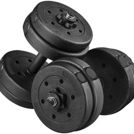 Yaheetech Dumbbell Weight Set of 2 Dumbbell Exercise Equipment Suitable for Women & Men Strength Training Total Weight 33LB : Sports & Outdoors